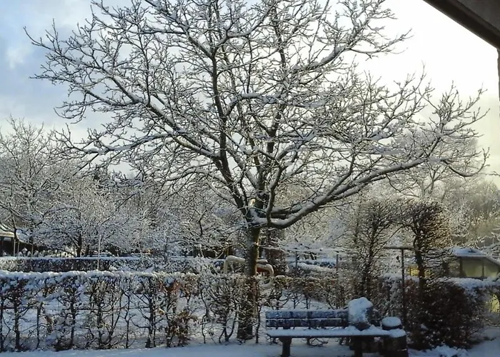 B&B De Vlinder
